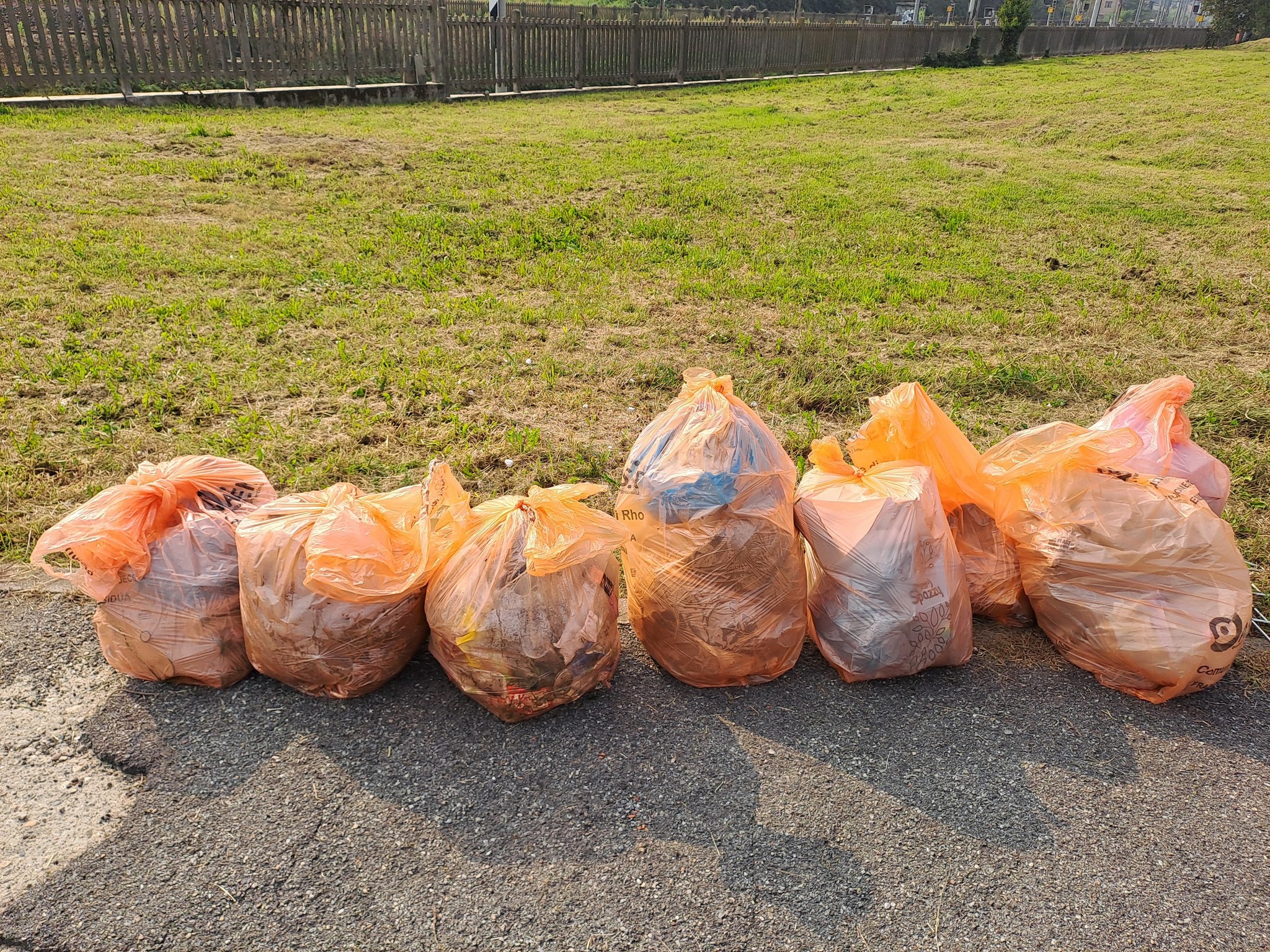 Rifiuti raccolti presso colonia felina di Rho