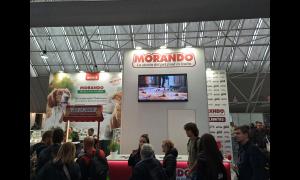 4 zampe in fiera stand Morando