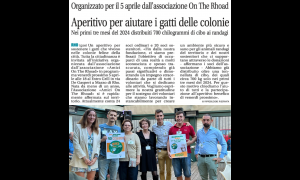 Articolo di giornale attività del 2024