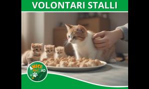 Cercasi volontari per stalli temporanei a Rho