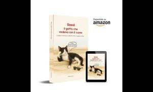 Seed, il gatto che vedeva con il cuore