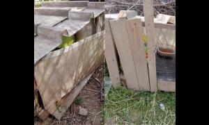 Casetta della colonia felina di Rho vandalizzata
