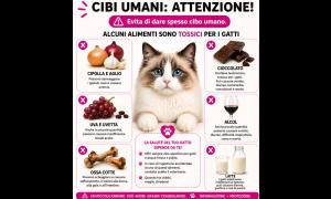 Alimenti umani che risultano tossici per i gatti