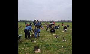 Cittadini e volontari insieme a Forestami per piantumazione in via Deledda a Rho