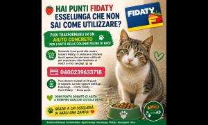 Punti fidaty Esselunga da donare per buono sconto da 27€ ogni 3000 punti