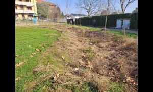 Foto del canale di scolo del Rain Garden in via Sartirana a Mazzo di Rho - Associazione Gentile