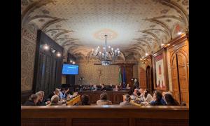 Approvazione mozione di Consiglio Comunale di Rho per revisione regolamento sulla Tutela Animali del Comune di Rho