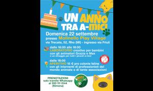 Un anno tra a-Mici per i gatti randagi di Rho