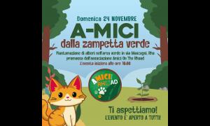 Alberi e arbusti per gatti colonie feline rho