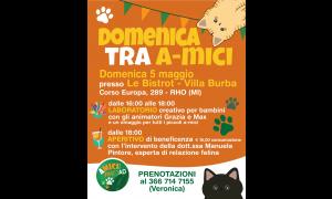 Aperitivo Solidale per gatti randagi di coloni feline di Rho