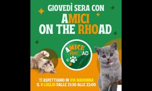 Giovedì Summer Fest - Rho - gatti randagi