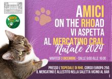 Mercatino del CRAL per gatti rho