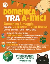 Aperitivo Solidale per gatti randagi di coloni feline di Rho